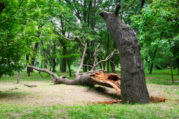 Landscape Design and Installation in Harrisville, RI